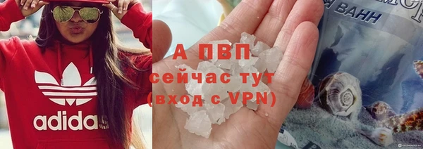 стаф Горнозаводск