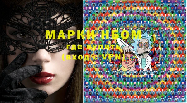 индика Михайловск